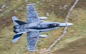 Canadian Hornets in LFA7